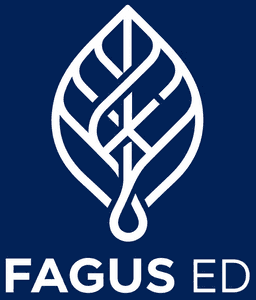 Fagus ED